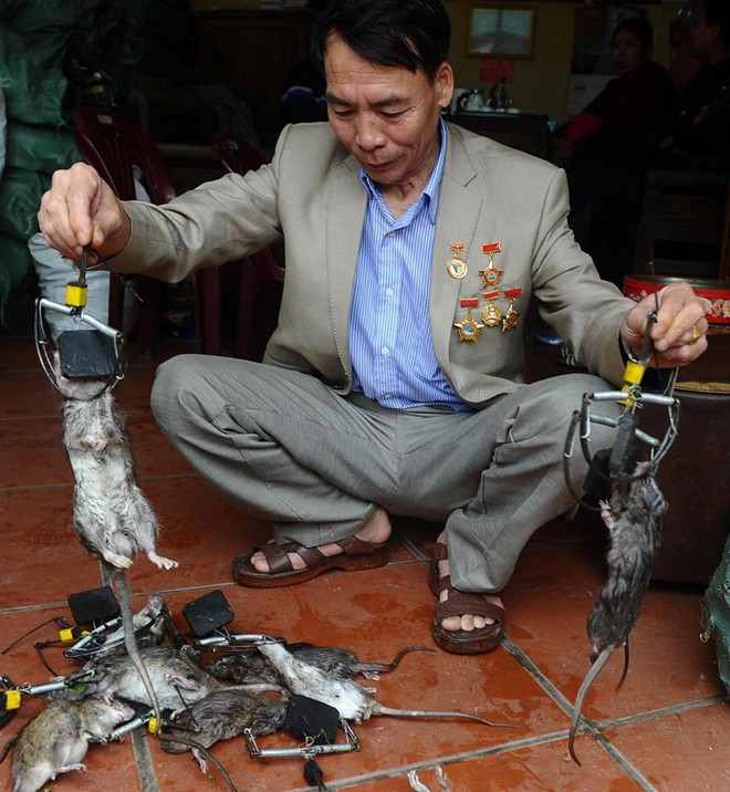 AFP[-]viết[-]phóng[-]sự[-]về[-]"vua[-]diệt[-]chuột"[-]của[-]Việt[-]Nam
